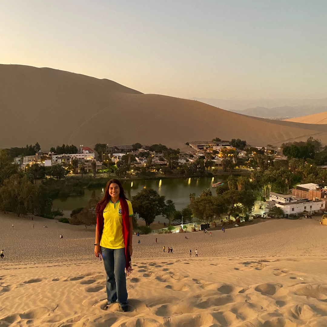 Detalle de las Líneas de Nasca