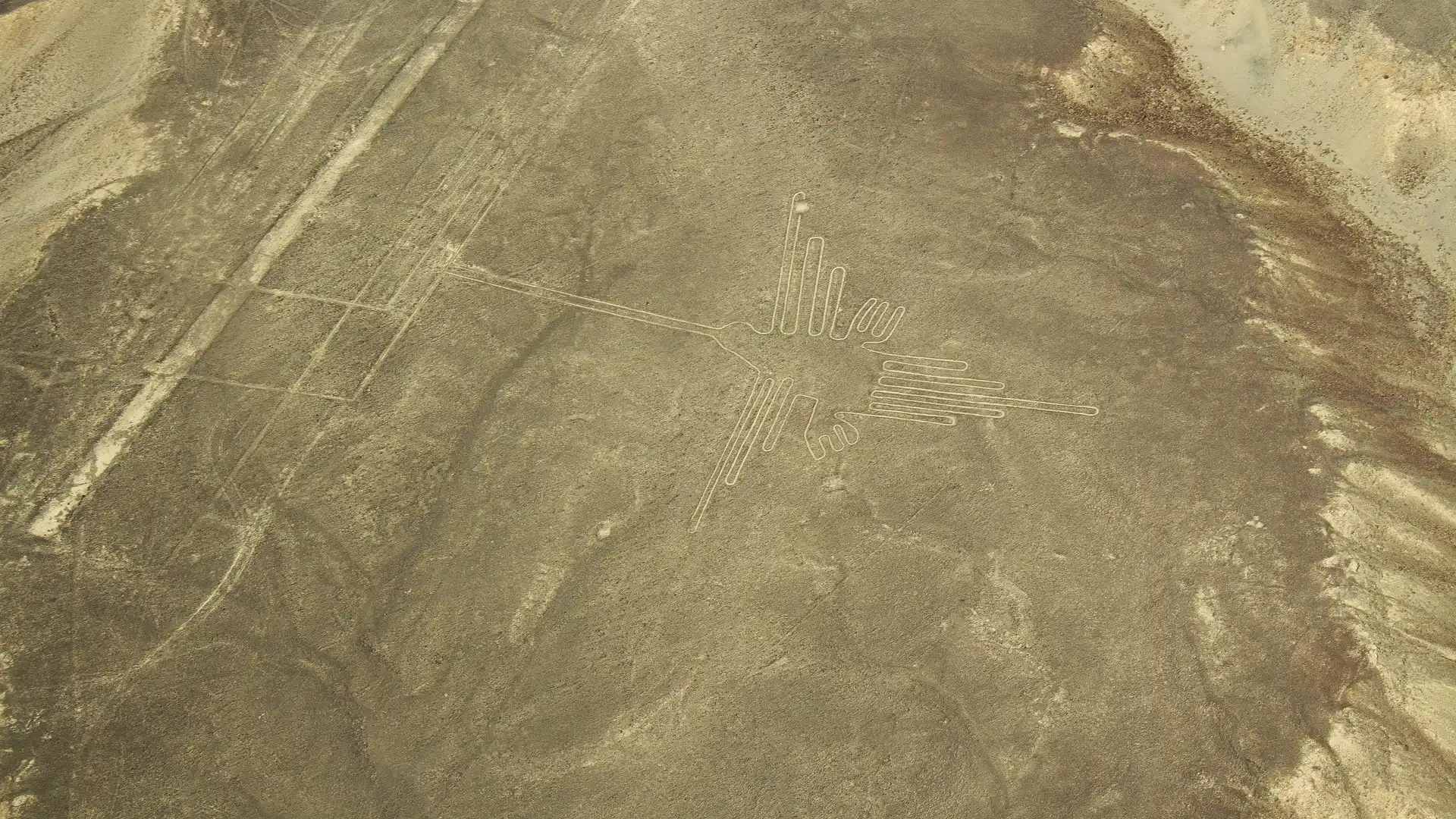 Sobrevuela las Líneas de Nasca