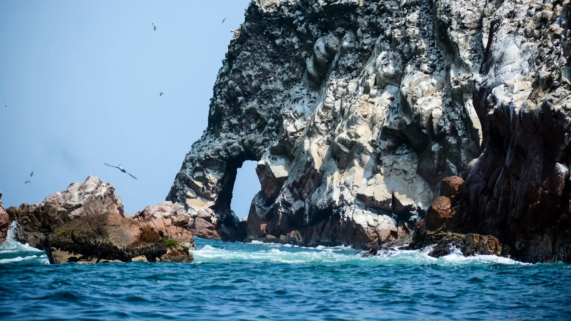 Paracas e Islas Ballestas