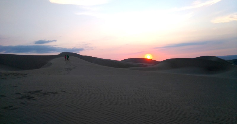 Tour Ballestas y Buggie en Oasis Huacachina 1 Dia