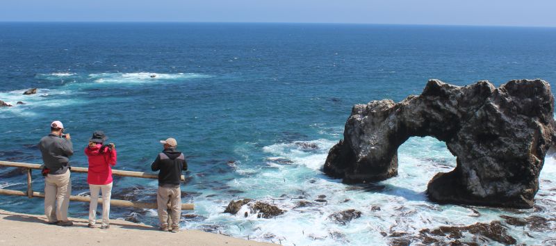 Tour Bahia de San Fernando