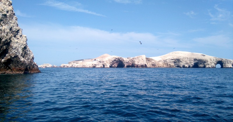 Tour Islas Ballestas y Reserva Nacional Paracas 1 Dia