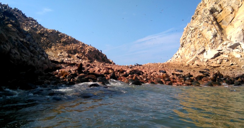 Islas Ballestas Buggie y Sobrevuelo en 2 Dias
